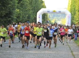 Course de Versailles - royalement conclue