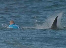 Le Jour où Mick Fanning s’est fait attaquer par des requins à J-Bay