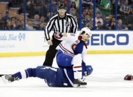 NHL bastons 2015-2016
