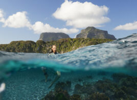 nstinct De Survie - THE SHALLOWS
