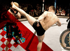 Mirko Cro Cop Filipovic - kick