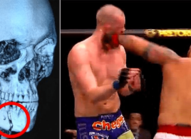 Le légendaire KO de Mark Hunt sur Stefan Struve