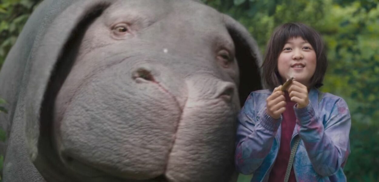 Netflix - le mouton noir du 70e Festival de Cannes