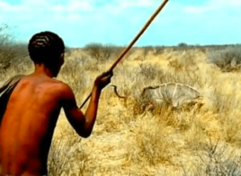 Persistence Hunting