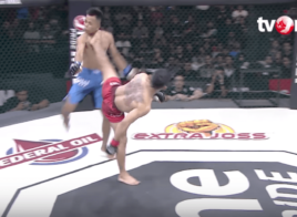 spinning head kick One Pride MMA