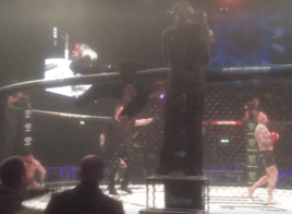Conor McGregor Bellator 187 arbitre