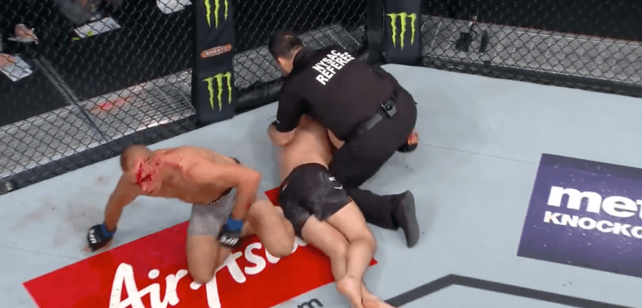 Georges St-Pierre Michael Bisping UFC 217