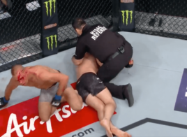 Georges St-Pierre Michael Bisping UFC 217