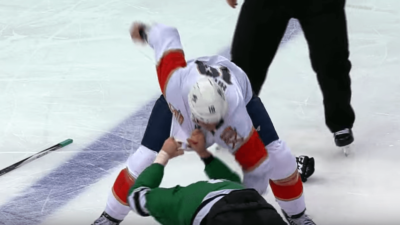 Stars Panthers NHL
