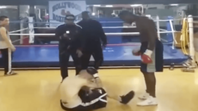 Deontay Wilder troll