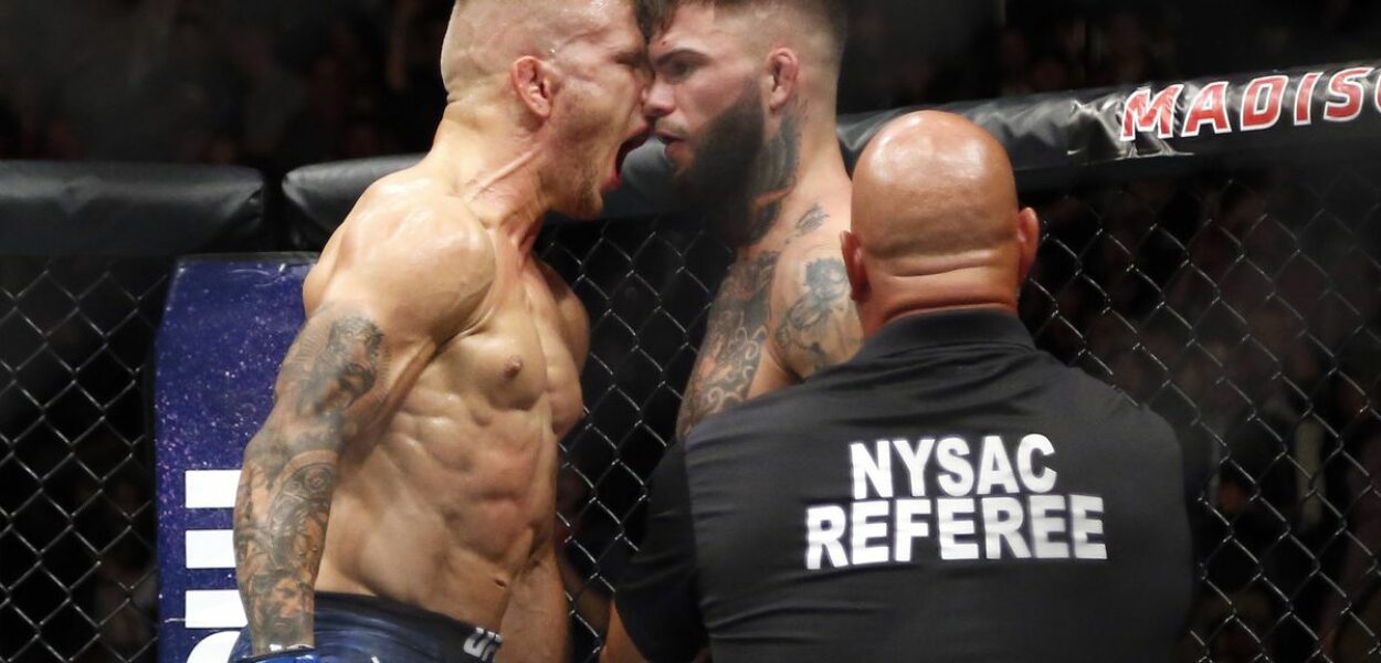 The Rematch is ON : TJ Dillashaw vs Cody Garbrandt II à l'UFC 227