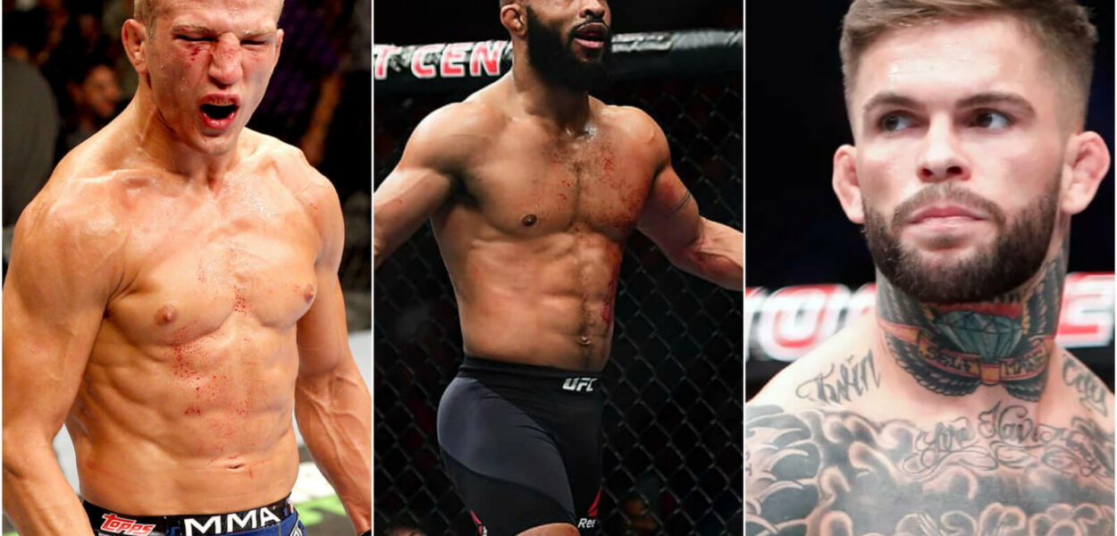 TJ Dillashaw explique pourquoi il n'affrontera par Demetrious Johnson