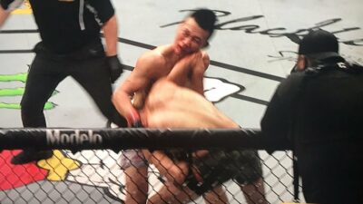 Yair Rodriguez Korean Zombie