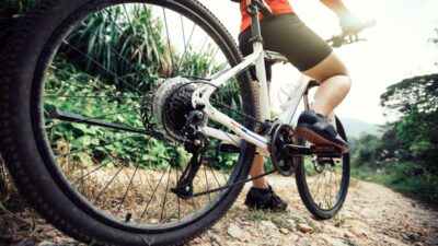 VTT