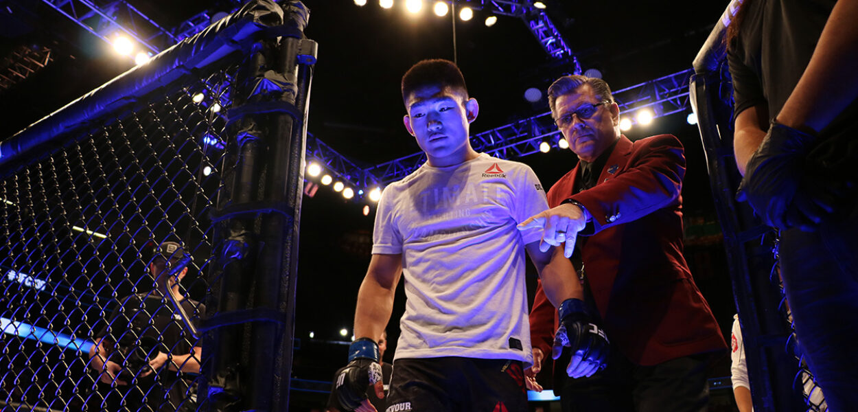 Yadong Song KO UFC 239