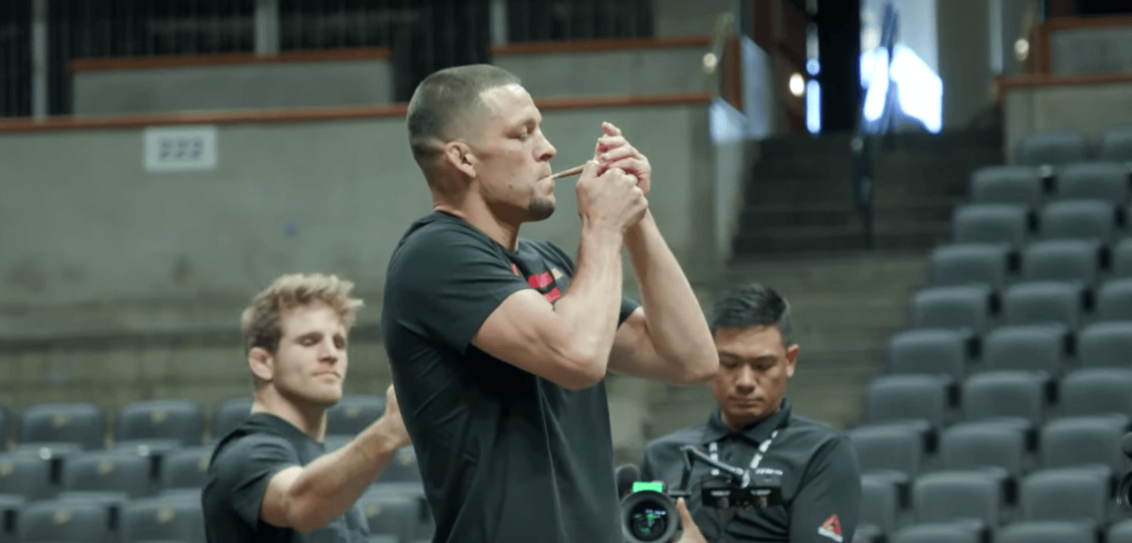 Nate Diaz UFC 241 joint