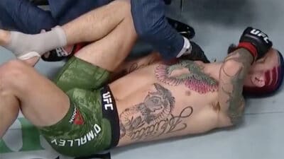 Sean O Malley Marlon Vera UFC 252