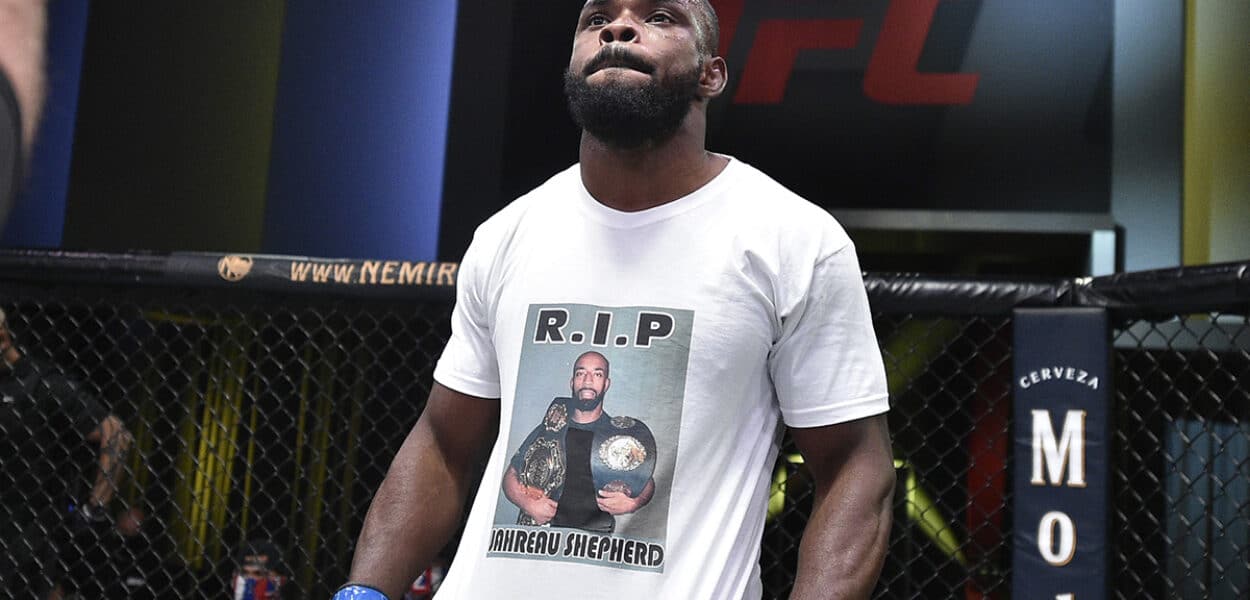 UFC Fight Night: Pitolo v Stewart