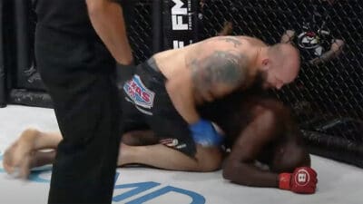Tim Johnson Cheick Kongo Bellator Paris