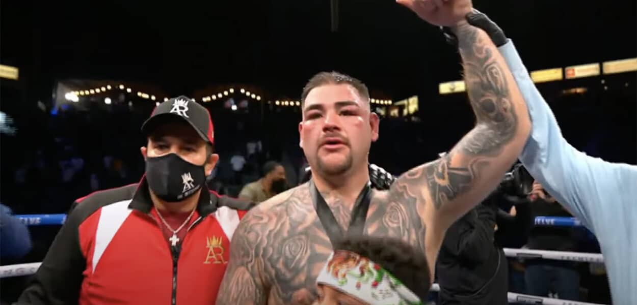Andy Ruiz Chris Arreola decision