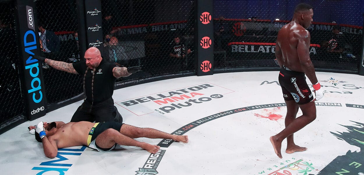Anthony Johnson Bellator KO