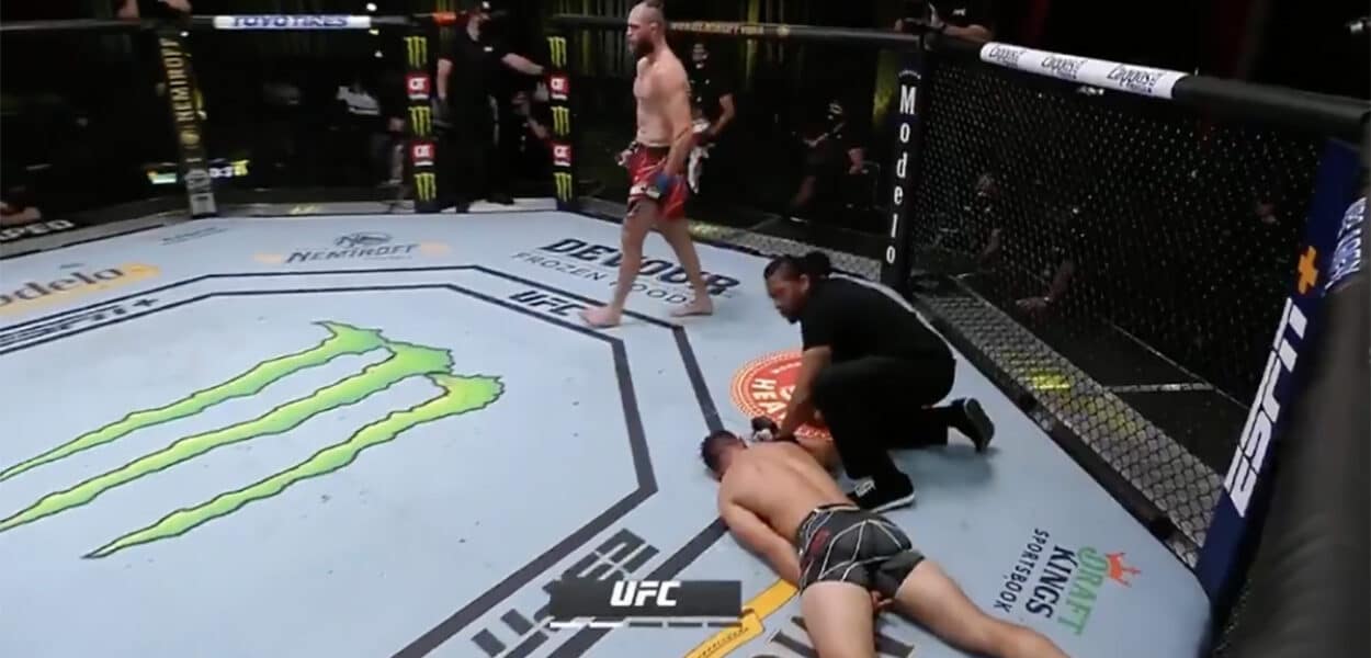 Jiri Prochazka KO Dominick Reyes UFC MMA