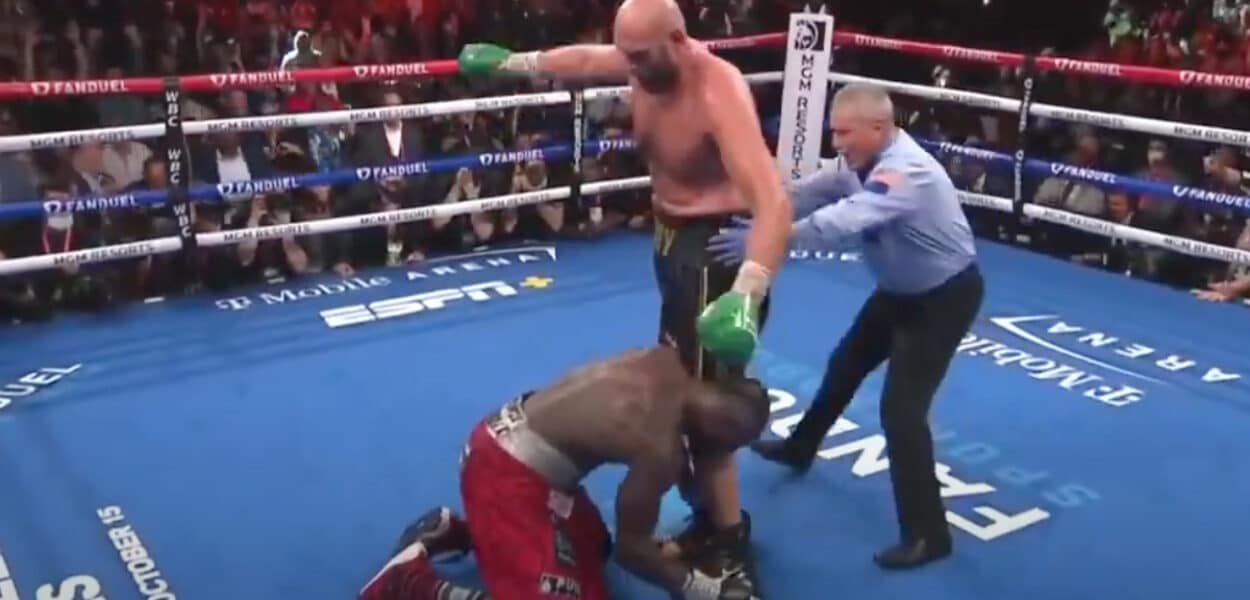 wilder fury