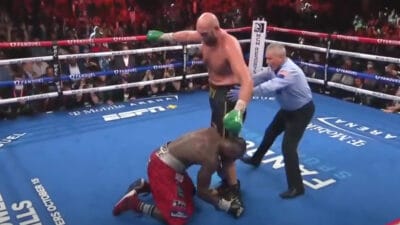 wilder fury