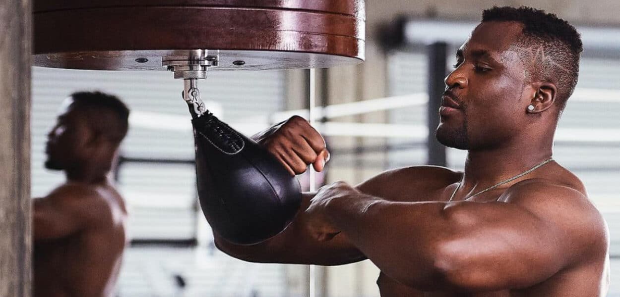 Francis Ngannou Tyson Fury