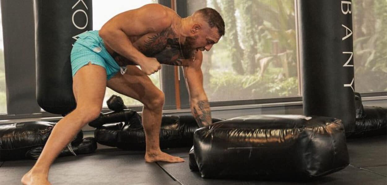 Conor McGregror, le meilleur ground and pound du MMA