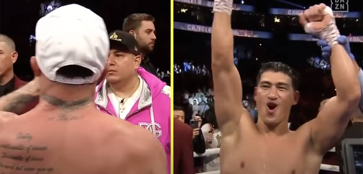 Bivol canelo