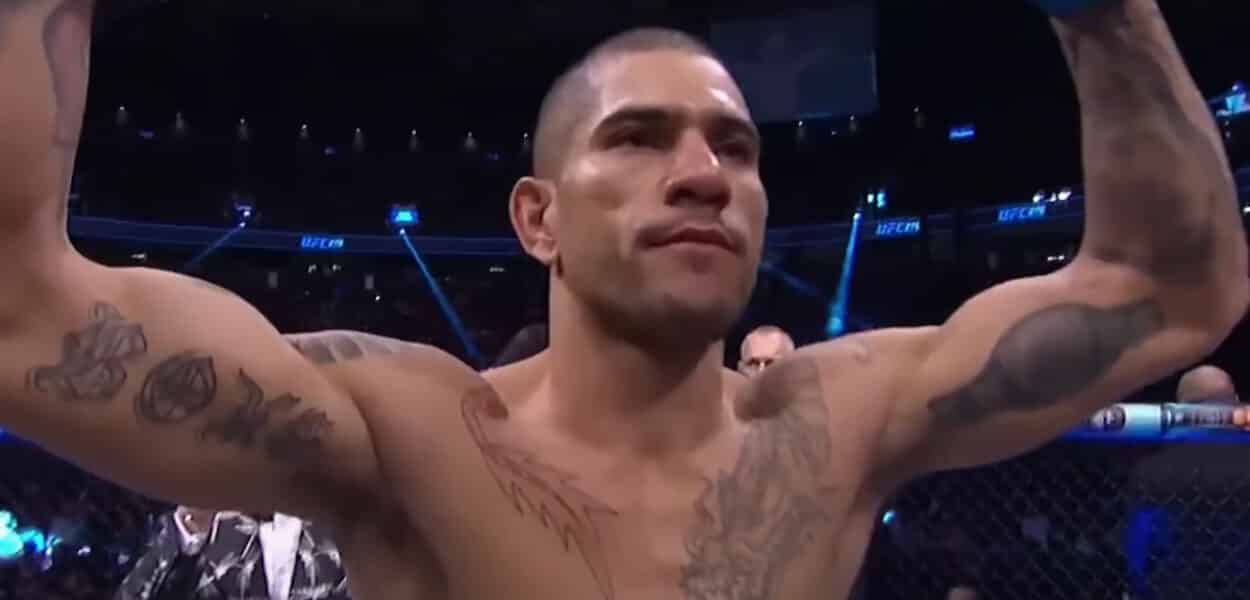whittaker surpris alex pereira