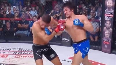 bellator gracie KO