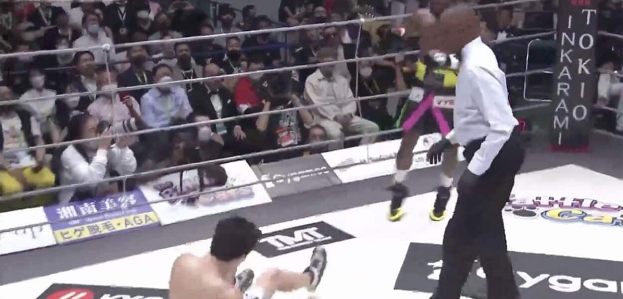 Floyd Mayweather s'impose par KO au 2e round