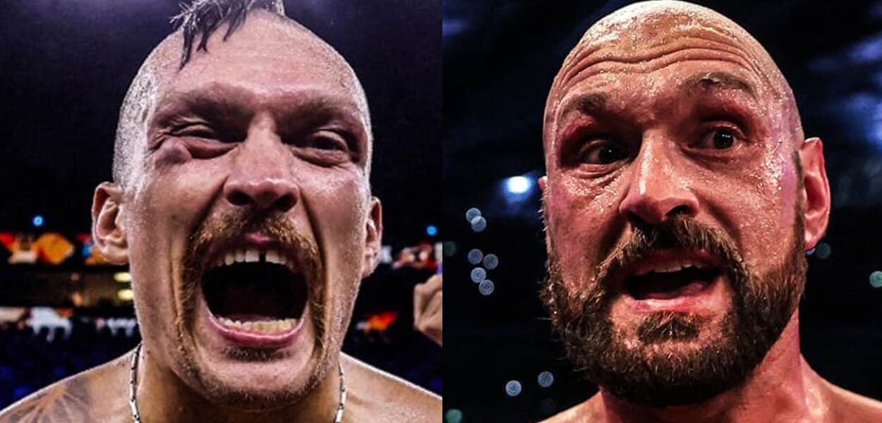 usyk tacle fury