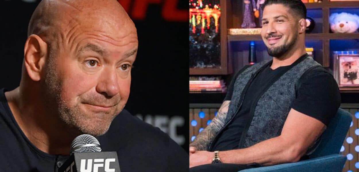 schaub dana white