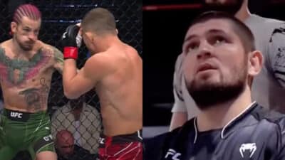 khabib choqué yan o'malley