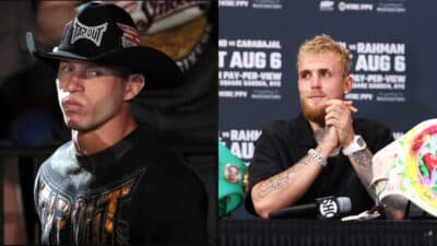 jake paul cerrone