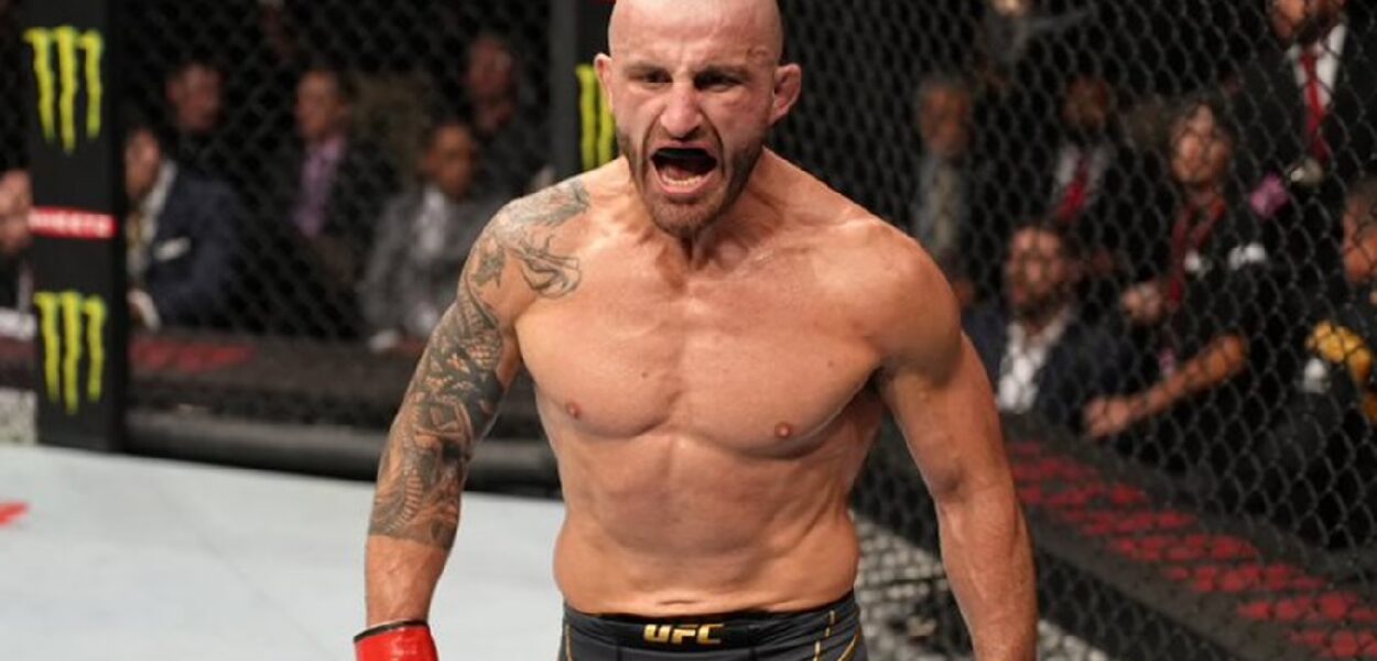 Alexander-Volkanovski