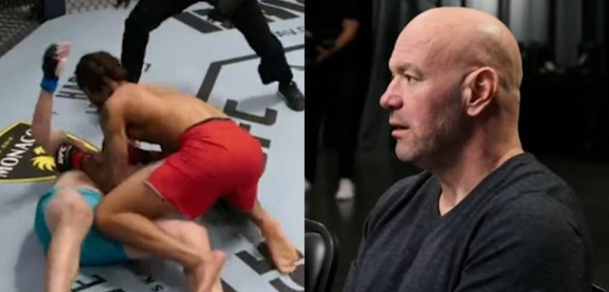 TUF-31-KO