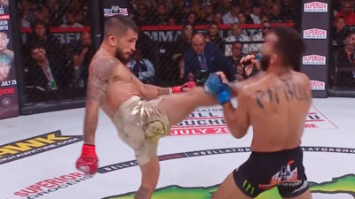 pettis pitbull