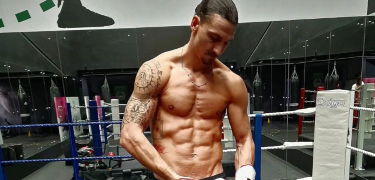 zlatan ibrahimovich boxe