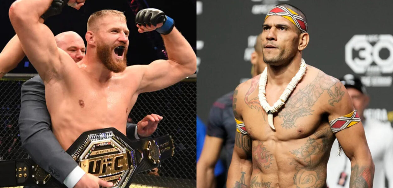 pereira blachowicz titre