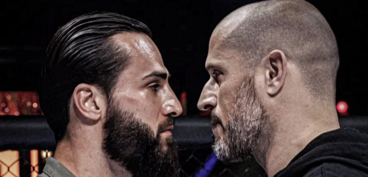 ibra hexagone greg mma