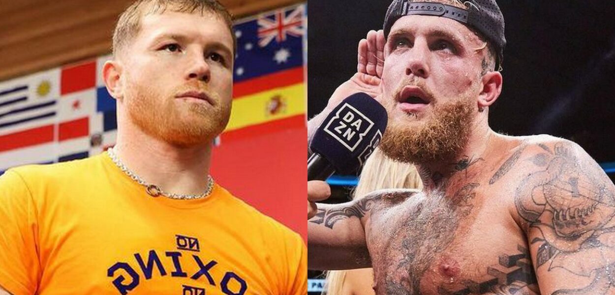 canelo alvarez jake paul