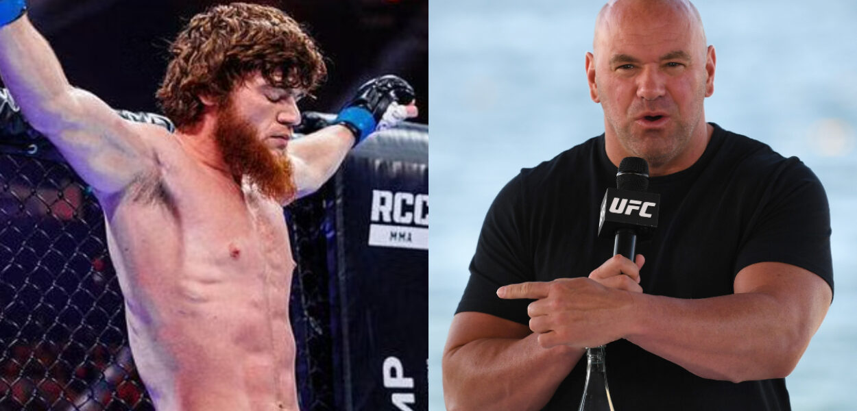 dana avertit sharapudtin magomedov