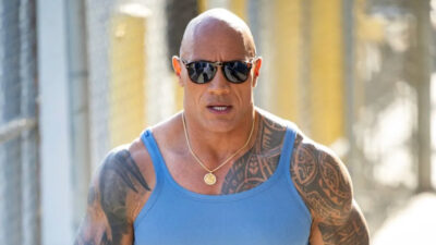 dwayne johnson ufc