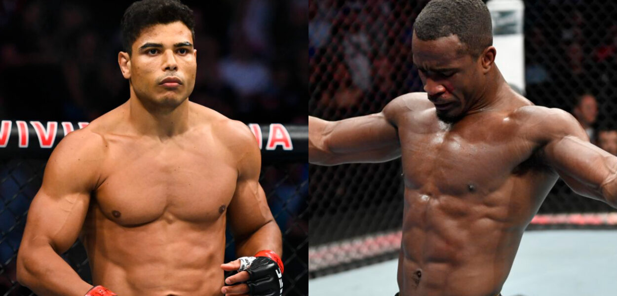 ufc poids