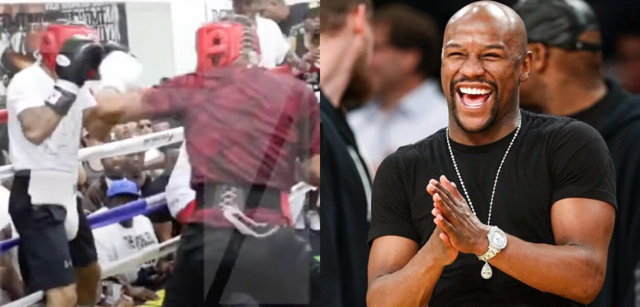 mayweather sparring gervonta haney