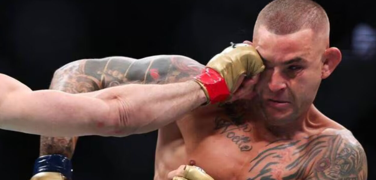 suspensions médicales ufc 302